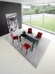 dining table (anodised black aluminium)